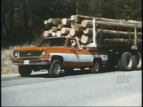 Chevy Cheyenne vintage